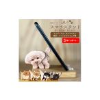 木工品 竹工品 犬のスマホスタンド 黒柴犬