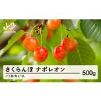 ふるさと納税 果物類 さくらんぼ 山形県 山辺町 《先行予約》2025年 山形県産 さくらんぼ ナポレオン バラ詰 500g 秀 L ~ 2L サクランボ フルーツ 果物 tj-nps…