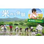 体験チケット 秦野里山米作り体験 イベント3回分チケット