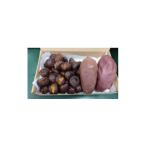 fu.... налог фрукты вид каштан Ibaraki префектура . древесный уголь ... город длина person магазин. набор комплект ( рефрижератор жарение каштан * рефрижератор жарение клубень каждый 300g) 1593052