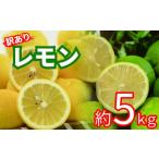 ショッピングふるさと納税 訳あり 不揃い ふるさと納税 みかん・柑橘類 レモン 愛媛県 松山市 訳あり レモン サイズ不揃い 約5kg 5kg ￥8,000