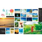 はがき 奄美の絵葉書20枚セット1 クリアケース入り