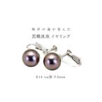 アクセサリー 南洋の海が育んだ 黒蝶真珠
