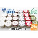 ふるさと納税 菓子 アイス 長野県 根羽村 5種類のアソート A 24個入り アイスクリーム アイス 生ソフト バニラ マダガスカル産 ブルーベリー 稲武 紅ほっぺ …