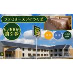 宿泊券 ホテル ファミリーステイつくば 5