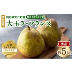 ショッピングふるさと納税 梨 ふるさと納税 梨 山形県 大江町  先行受付 特別栽培 大玉 ラフランス 約5kg 秀品4L〜3L 2027年1月より順次発送予定 025-023