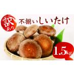 ふるさと納税 野菜類 きのこ 静岡県 藤枝市  12月〜4月発送 訳あり 不揃い 生しいたけ 1.5kg 生 しいたけ 常温 配送 シイタケ 椎茸 大ぶり 食べ応え 厚い 肉厚…