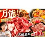 牛肉 カレー シチュー 土佐黒牛 切り落し 約500g