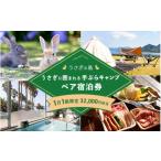 宿泊券 うさぎの島 手ぶらキャンプ 大久野島