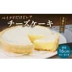 ケーキ カステラ チーズケーキ 全国配送可