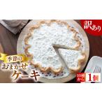ケーキ カステラ フルーツケーキ 訳あり 季節の