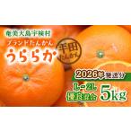 ふるさと納税 みかん・柑橘類 鹿児島県 宇検村 2026年1月下旬〜出荷開始 ブランド たんかん うららか (5kg) 先行予約 L 2L サイズ 糖度10%以上 数量限定 期間…