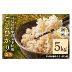ふるさと納税 玄米 茨城県 潮来市 令和7年産新米 玄米 5kg 栽培期間中農薬不使用 こしひかり 茨城県産 米 お米 コメ ご飯 コシヒカリ 食味豊か 甘み 旨み 冷め…