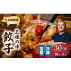 餃子 冷凍餃子 30個