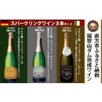 ふるさと納税 ワイン セット 福岡県 直方市  通常3本セット 福智山ダム熟成 スパークリングワイン 3本詰め合わせ セット FD323 750ml 熟成ワイン ワイン 酒 お…