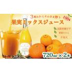 ふるさと納税 果汁飲料 みかん 愛媛県 愛南町 果実ミックスジュース×2本 3種みかん ミックス 高級柑橘 甘平 不知火 愛媛みかん ジュース 100% 贈答 ギフト プ…