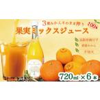 ふるさと納税 果汁飲料 みかん 愛媛県 愛南町 果実ミックスジュース×6本 3種みかん ミックス 高級柑橘 甘平 不知火 愛媛みかん ジュース 100% 贈答 ギフト プ…