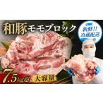 豚肉 モモ 〈訳あり〉 和豚 ブロック 7.5kg