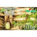 fu.... налог овощи вид дайкон Hokkaido .. столица . дайкон 10kg дайкон дайкон online ....... налог Hokkaido .. столица овощи корнеплоды прямая поставка от производителя свежий .. длина большой...