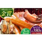 肉 ソーセージ 全3回定期便 TESIOの自家製フランク&ボロー…