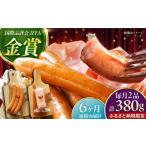 肉 ソーセージ 全6回定期便 TESIOの自家製フランク&ボロー…