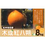 みかん 柑橘類 紀州和歌山産 木成紅八朔 8kg