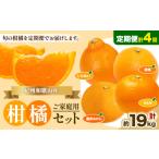 みかん 柑橘類 発送月固定定期便 紀州 和歌山産