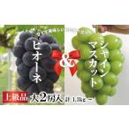 NISSHOKU FARM ご ぶどう2種セット 2房 約1.0kg ぶどう 詰め合わせ