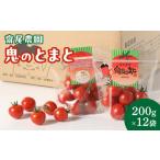 野菜類 トマト 鬼のとまと 200g