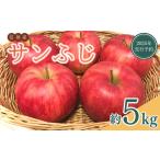ふるさと納税 りんご 長野県 千曲市 2025年先行予約 りんご サンふじ 約5kg ザ・王道りんご 林檎 さんふじ サンフジ 千曲市 長野県産 信州