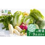 果物の詰合せ 信州ありさんファーム 旬の野菜