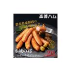 ふるさと納税 肉 ハム 群馬県 高崎市 24149 高崎ハム 業務用「赤城の郷スモークウインナー」計2kg(1,000g×2P)
