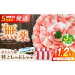 豚肉 ロース 3回定期便 無薬育ちのあんしん豚