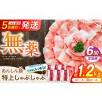 豚肉 ロース 6回定期便 無薬育ちのあんしん豚