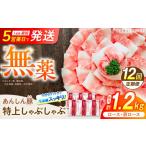 豚肉 ロース 12回定期便 無薬育ちのあんしん豚