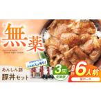 豚肉 ロース 3回定期便 無薬育ちのあんしん豚