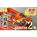 ふるさと納税 うなぎ 鹿児島県 東串良町 0124314a-1W 翌週までに発送 東串良町のうなぎ蒲焼(無頭)(2尾・計約300g・タレ、山椒付)うなぎ 高級 ウナギ 鰻 国産 …