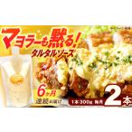 たれ ドレッシング 酢 6回定期便 マヨラーも黙る