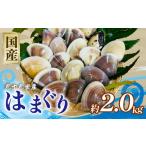 しじみ あさり 蛤 はまぐり 冷凍 合計 約 2kg