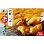 ふるさと納税 ウニ 熊本県 天草市 S157-009_天草二江の養殖赤うに 100g 100g