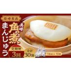 惣菜 レトルト 冷凍 3回定期便 産豚角煮まん 10個入