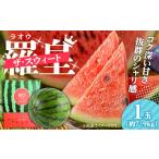 ふるさと納税 メロン 大分県 日田市  先行予約・26年6月以降発送 日田西瓜（羅皇ザ・スウィート） 1玉 7~9kg 日田市 ／ JAおおいた すいか スイカ 西瓜 羅皇ス…