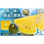 ふるさと納税 メロン 大分県 日田市  先行予約・26年6月以降発送 夢色酔夏（金色羅皇）1玉 7~9kg 日田市 ／ JAおおいた　すいか スイカ 西瓜 黄色いすいか く…