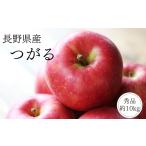 ふるさと納税 りんご 長野県 松川町 MS40 りんご つがる（長野県産秀品）約10kg ／ 2026年9月上旬〜9月下旬頃 配送予定 ／／ 南信州産 長野県 早生りんご りん…