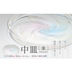 陶磁器 漆器 ガラス 中皿 白 川原有造作 鉢 硝子