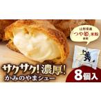 焼菓子 チョコレート かみのやまシュー 8個
