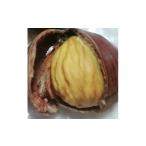 �ӂ邳�Ɣ[�� �G�݁E���p�i �c�� �O�d�� �鎭�s �����W�Ń`�����ďa��܂Ń|���b���Y��Ɏ���I�@�ۂ낽��̕c�@(��؁E�ʎ�)