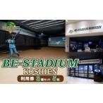 体験チケット BE-STADIUM KOSHIEN