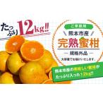 ふるさと納税 果物類 みかん 熊本県 熊本市  規格外品 熊本市産 完熟 蜜柑 ご家庭用 12kg 2025年9月上旬〜2026年2月上旬迄発送予定 みかん ミカン 果物 フルー…