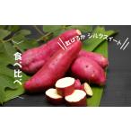 野菜類 サツマイモ 8-005-004 さつまいも食べ比べ